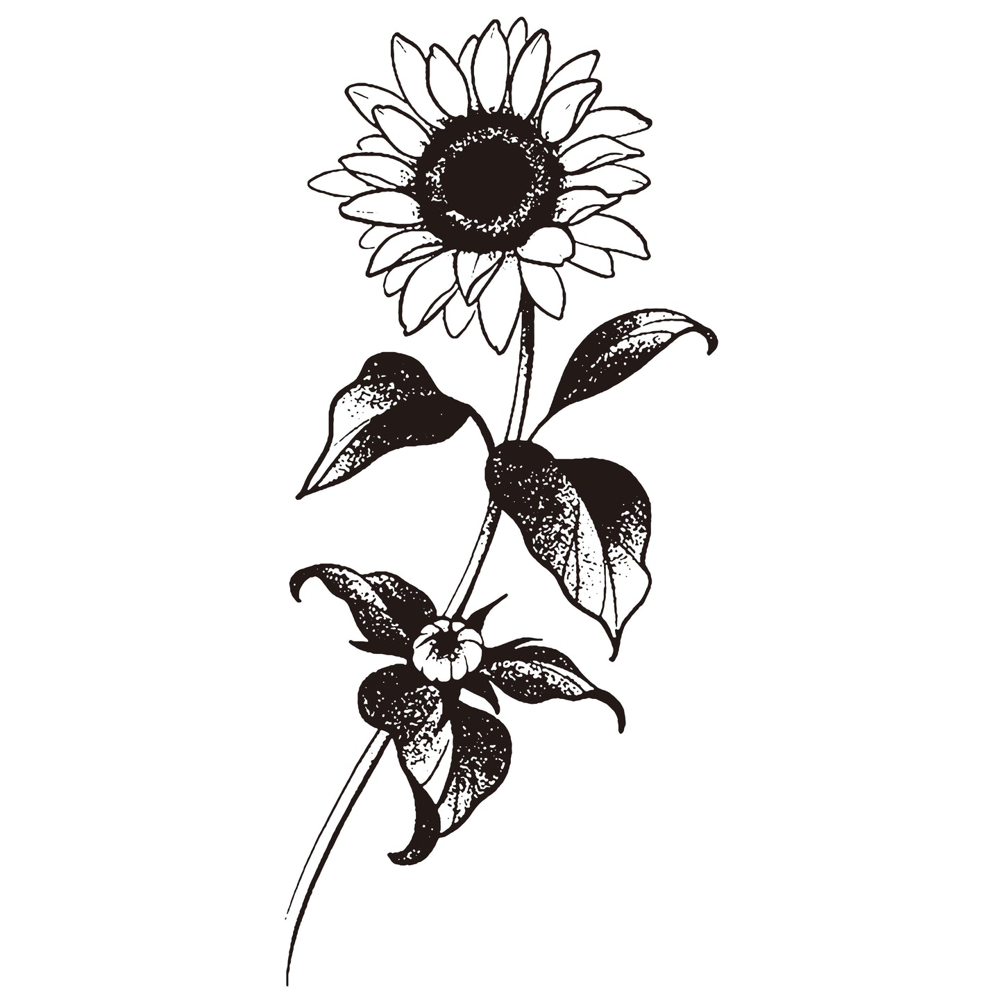 Girasol