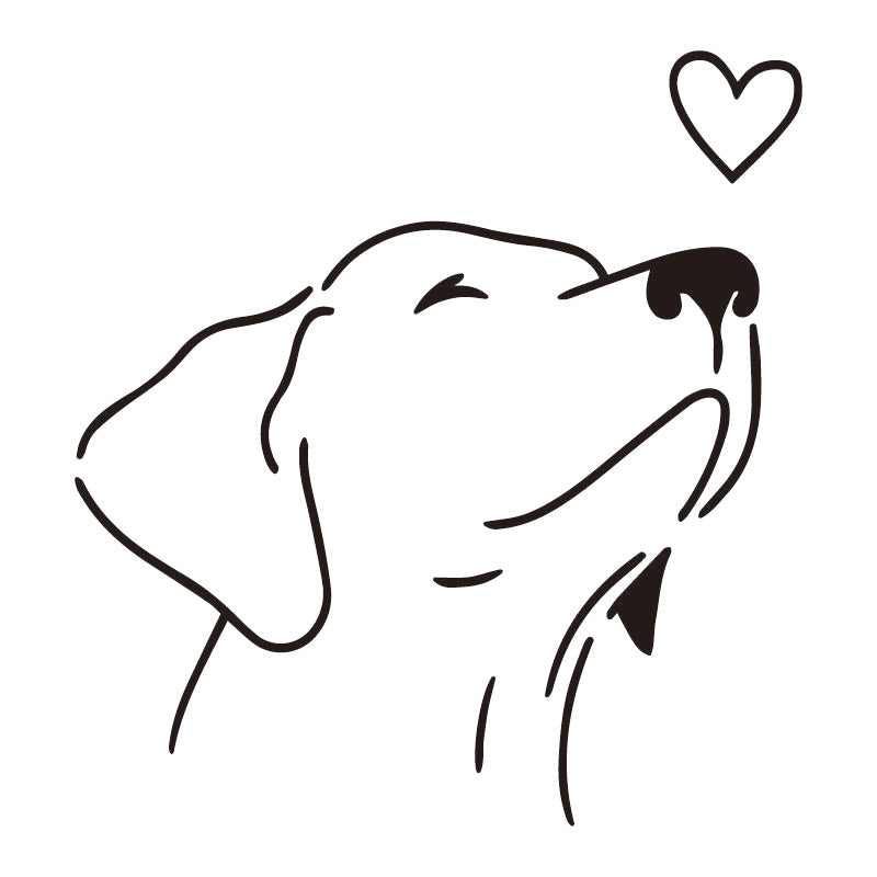 Amor de perro