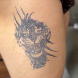 Garra salvaje tigre