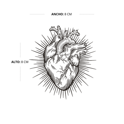 Luz Del Alma