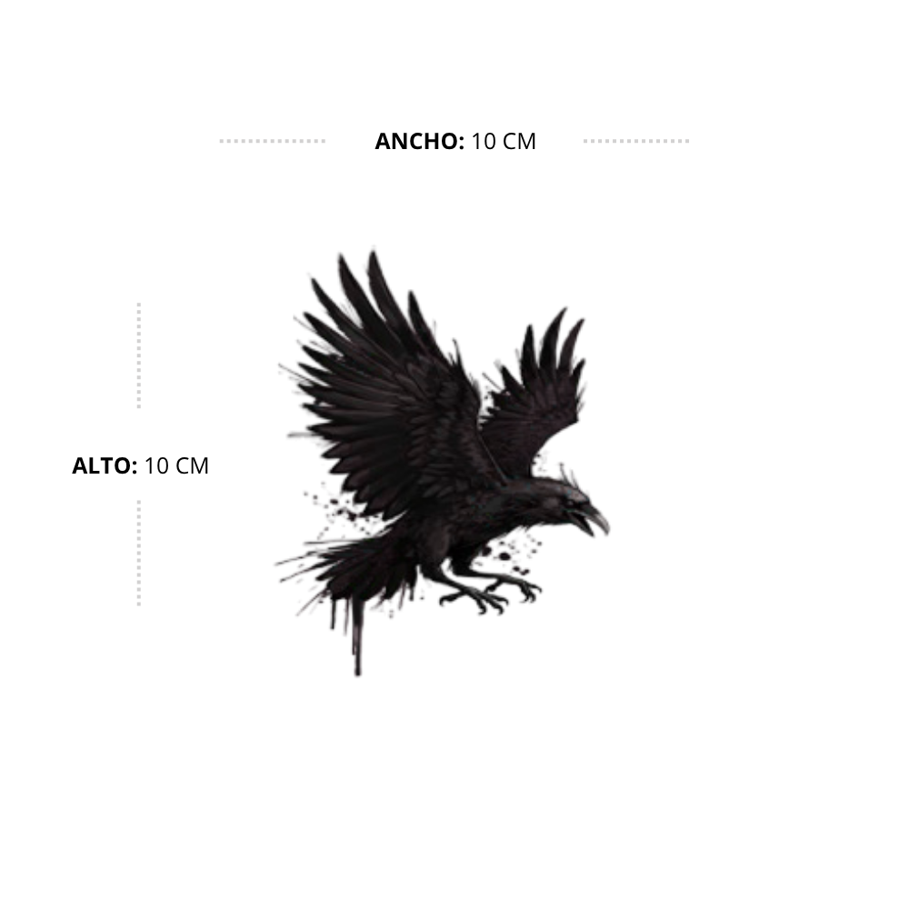 Flight of the Raven