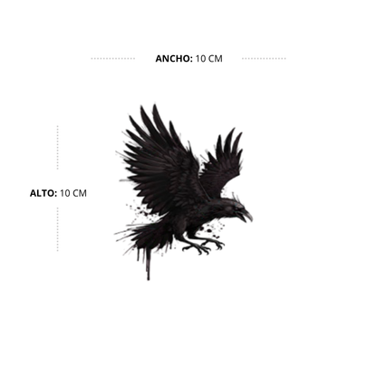 Flight of the Raven