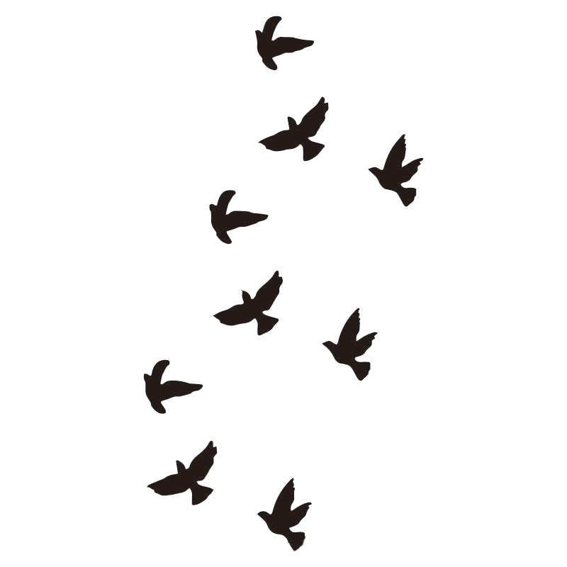 Pajaros volando