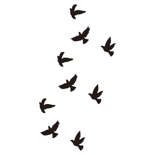 Pajaros volando