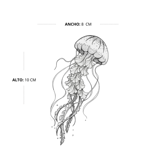 Fluidez & Resiliencia Marina
