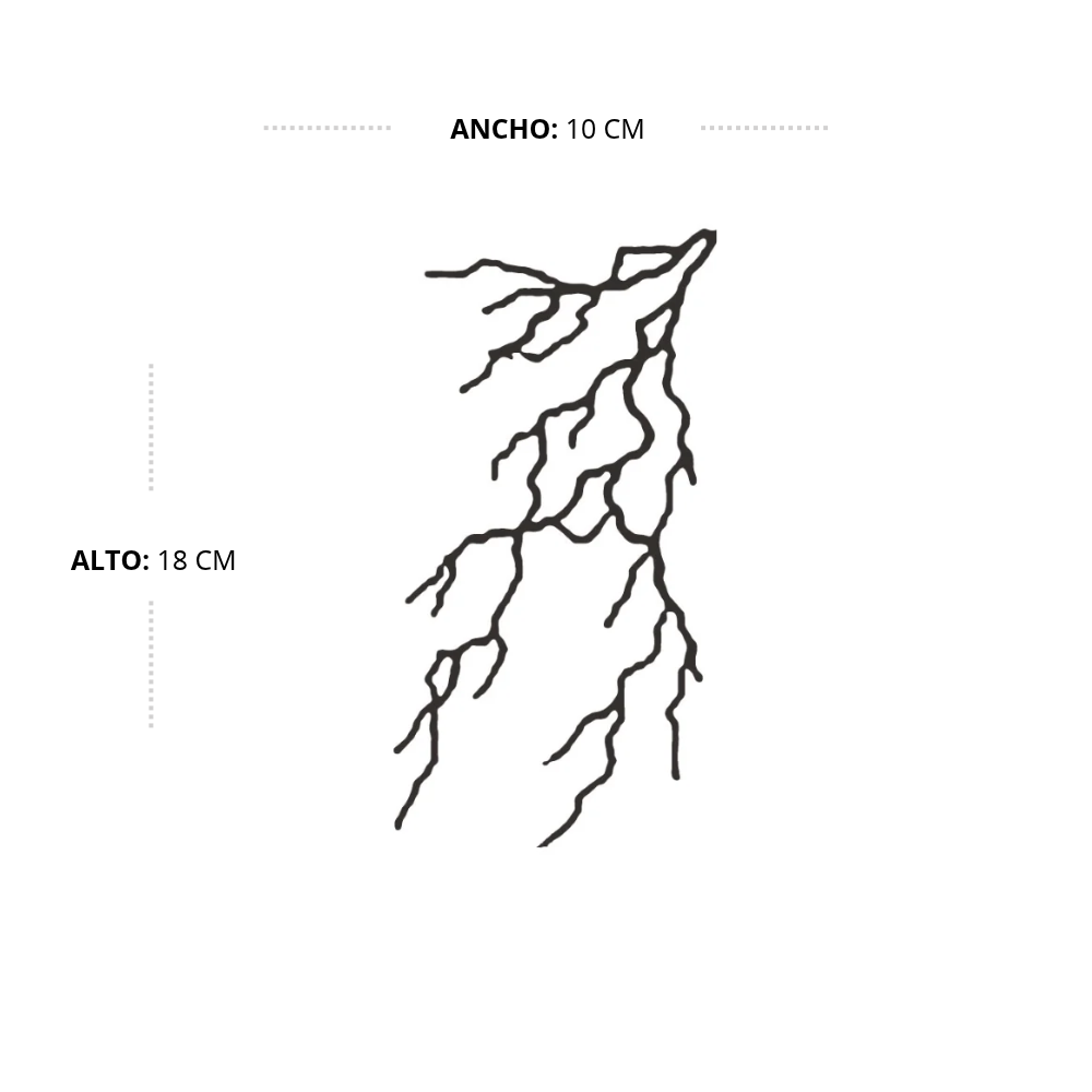 Fan with Peonies