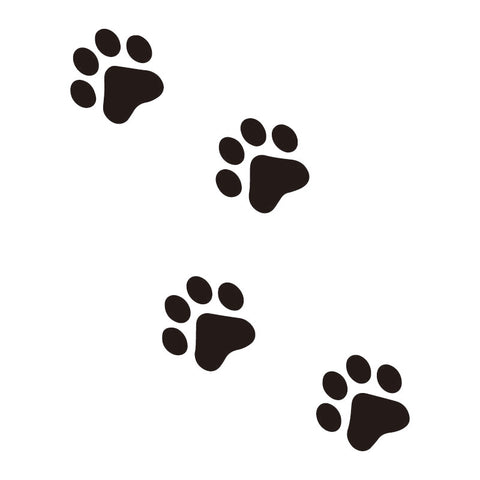Huellas de Perro