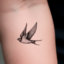 Golondrina