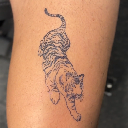 Tigre
