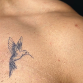 Animales y naturaleza