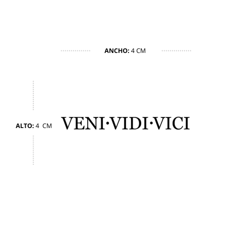 Veni Vidi Vici