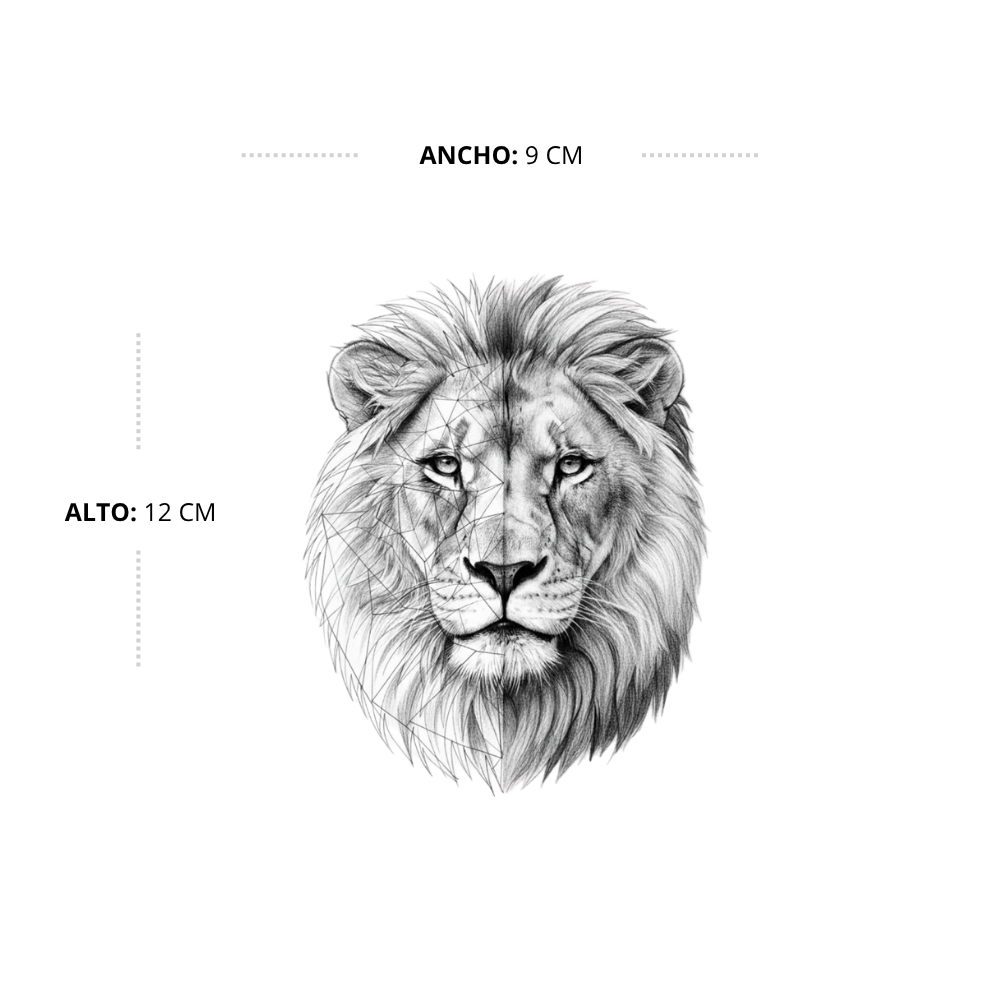Lion's Face