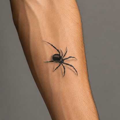 Spider