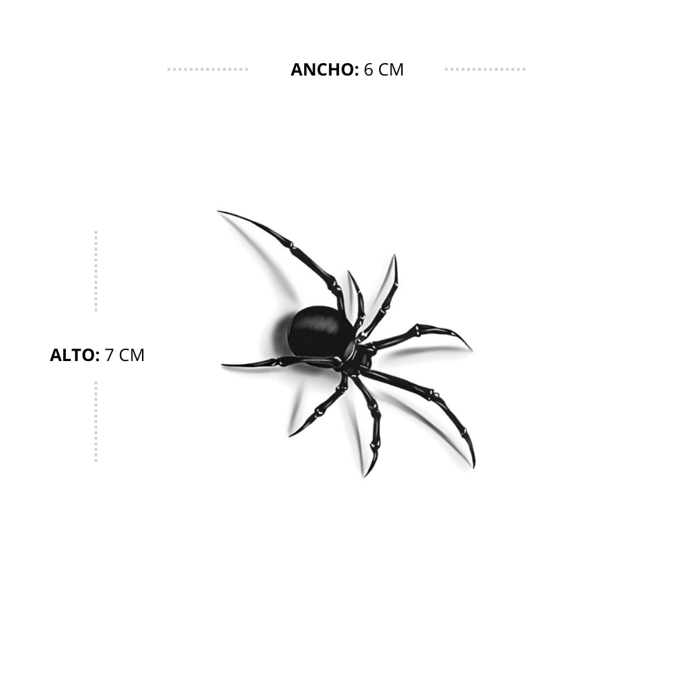 Spider